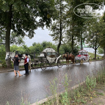 фото из отзыва ID 2287812