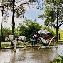 фото из отзыва ID 2287812