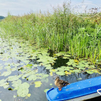 фото из отзыва ID 2287812