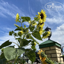 фото из отзыва ID 2287812