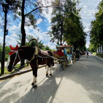 фото из отзыва ID 2287812