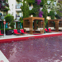 фото из отзыва ID 2286333