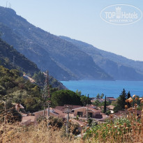 фото из отзыва ID 2287974