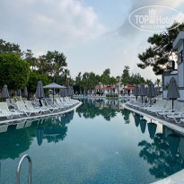 фото из отзыва ID 2287998