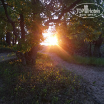 фото из отзыва ID 2288080