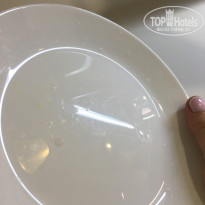 фото из отзыва ID 2288111