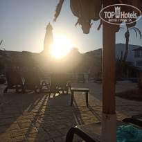 фото из отзыва ID 2288158