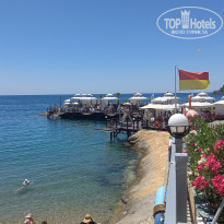 фото из отзыва ID 2288257