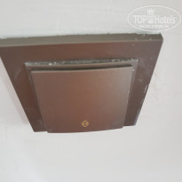 фото из отзыва ID 2288336