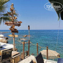 фото из отзыва ID 2288334