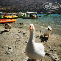 фото из отзыва ID 2288334