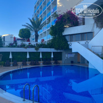 фото из отзыва ID 2288384