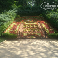 фото из отзыва ID 2288467