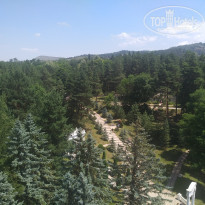 фото из отзыва ID 2288467