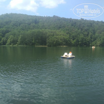 фото из отзыва ID 2288467