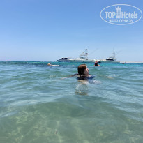 фото из отзыва ID 2288491