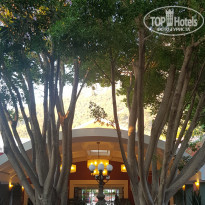 фото из отзыва ID 2288522