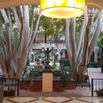 фото из отзыва ID 2288522