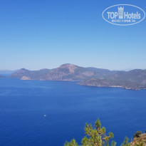 фото из отзыва ID 2288522