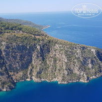 фото из отзыва ID 2288522