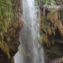 фото из отзыва ID 2288522