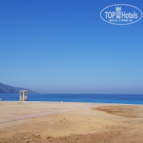 фото из отзыва ID 2288522