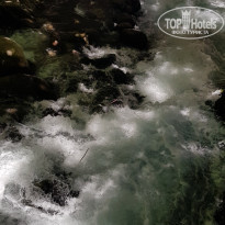 фото из отзыва ID 2288522