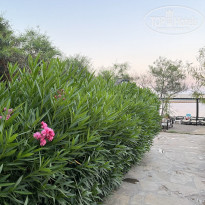 фото из отзыва ID 2288536