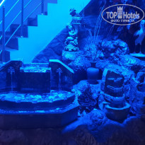 фото из отзыва ID 2288604