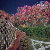 фото из отзыва ID 2288604