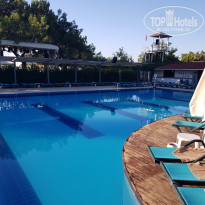 фото из отзыва ID 2288339