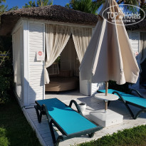 фото из отзыва ID 2288339