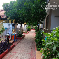 фото из отзыва ID 2288684