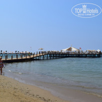 фото из отзыва ID 2288868