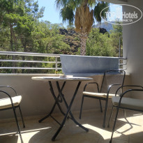 фото из отзыва ID 2288881