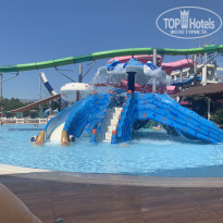 фото из отзыва ID 2288895