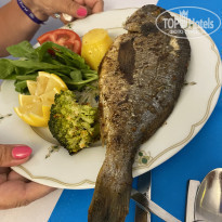 фото из отзыва ID 2289012