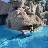 фото из отзыва ID 2289066