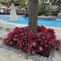 фото из отзыва ID 2289066