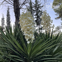 фото из отзыва ID 2289066