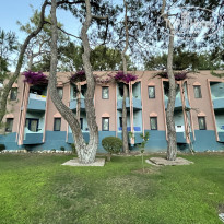 фото из отзыва ID 2289066