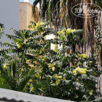 фото из отзыва ID 2289294