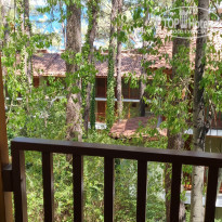 фото из отзыва ID 2289366