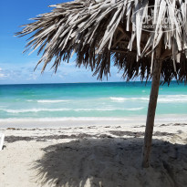 фото из отзыва ID 2289355