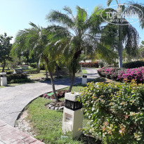 фото из отзыва ID 2289355