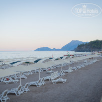 фото из отзыва ID 2289375