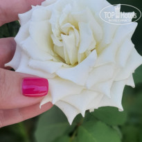 фото из отзыва ID 2289421