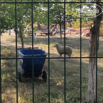 фото из отзыва ID 2289292