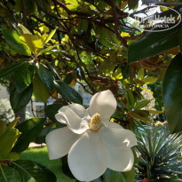 фото из отзыва ID 2289557