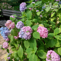 фото из отзыва ID 2289557